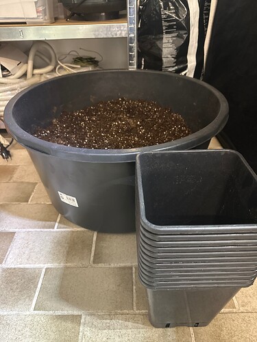 Growreport Bild 10