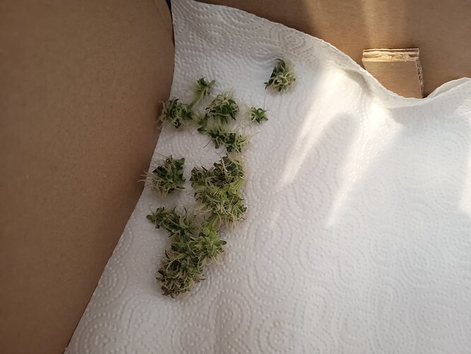 Growreport Bild 11
