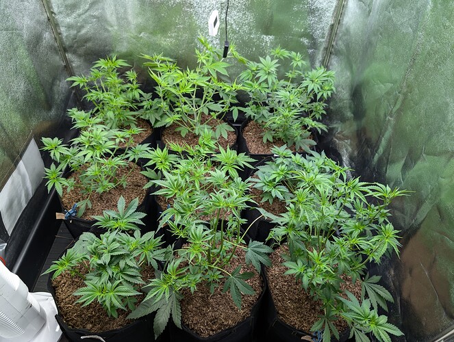 Growreport Bild 1