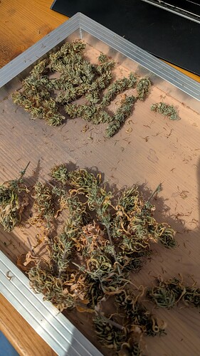 Growreport Bild 6