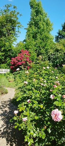 Growreport Bild 7