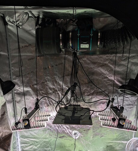 PXL_20240721_122958572~2