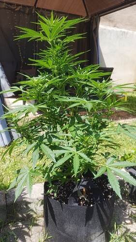 Growreport Bild 12