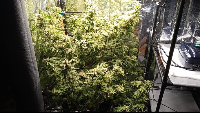 Screenshot_20250330_182536