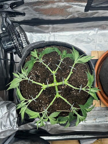 Growreport Bild 12