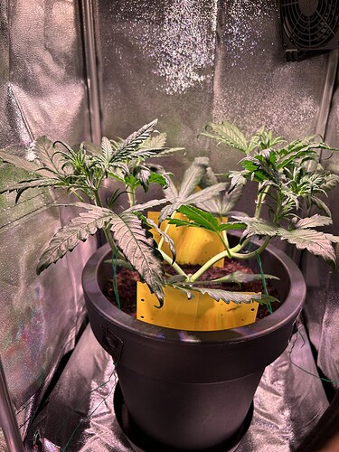 Growreport Bild 4