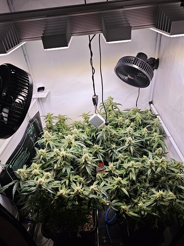 MVIMG_20251109_200544