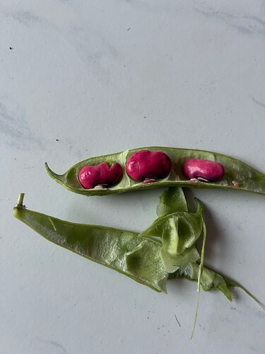 Growreport Bild 49