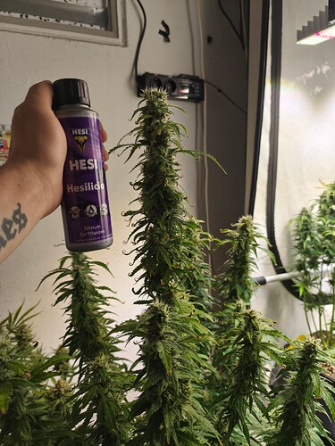 Growreport Bild 19