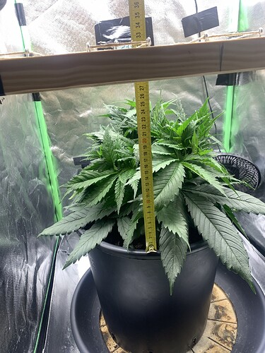 Growreport Bild 15