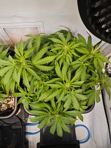 MVIMG_20251017_162057