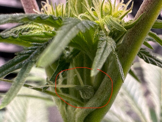 Growreport Bild 6