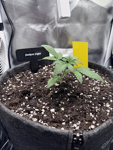 Growreport Bild 40