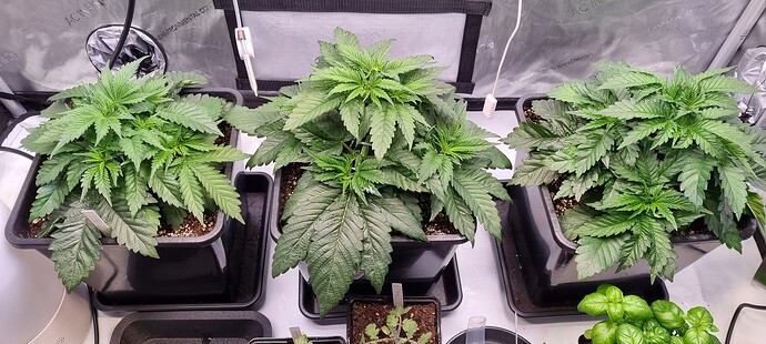 Growreport Bild 11