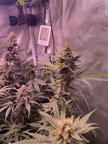 Growreport Bild 11