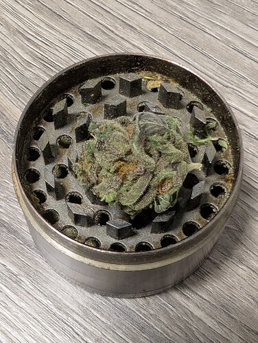 Growreport Bild 6