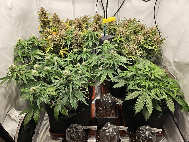 WhatsApp Bild 2024-04-26 um 11.08.57_4fb7b652