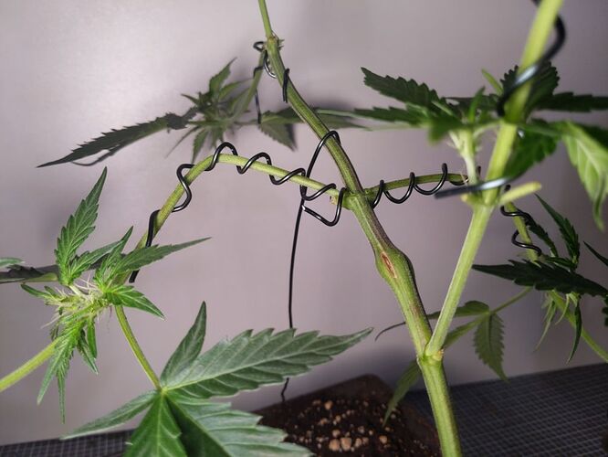 IMG_20240306_092039_820