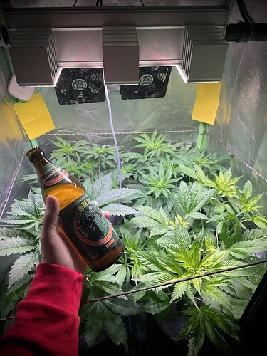 Growreport Bild 11