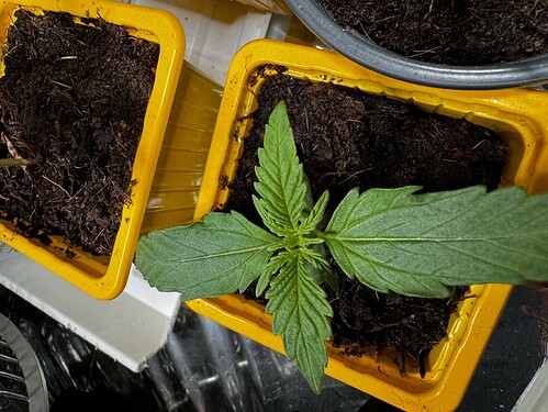 20240404_131137195_iOS