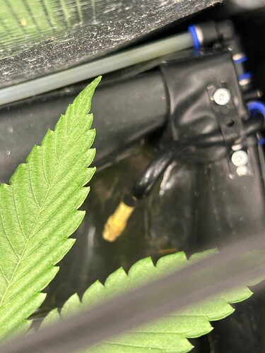 Growreport Bild 39