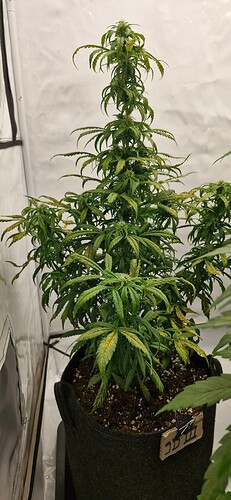 Growreport Bild 7