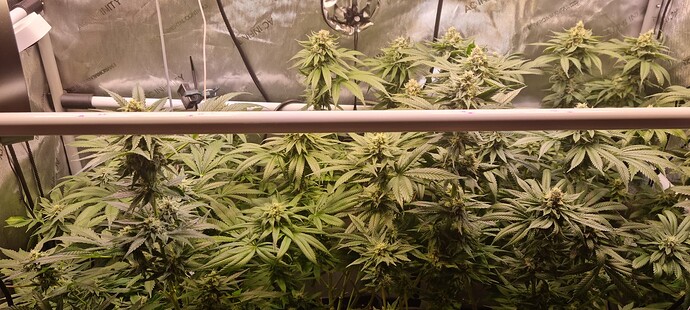 Growreport Bild 3