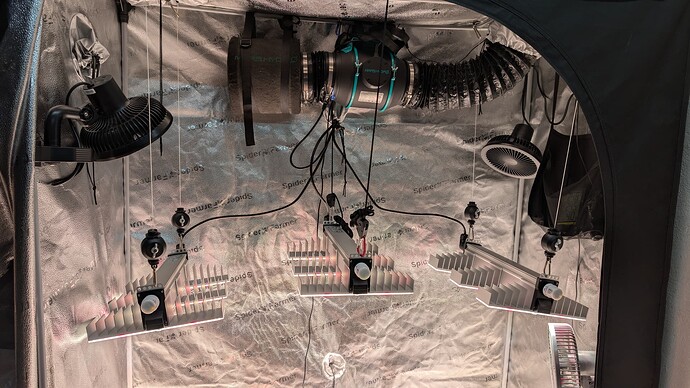 PXL_20250228_152705502