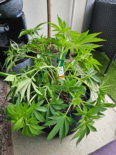 Growreport Bild 15