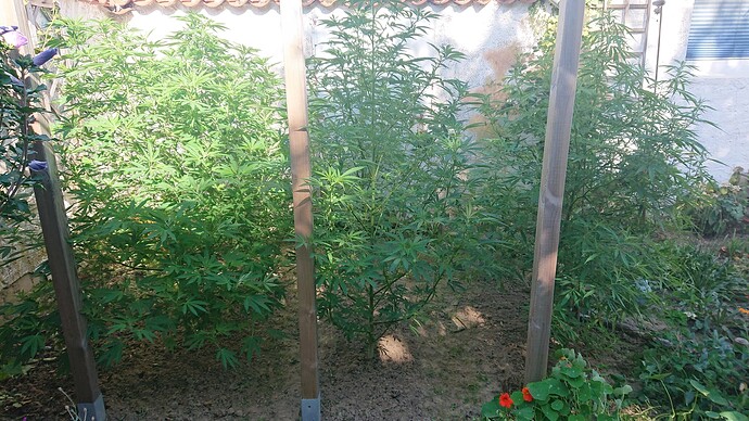 Growreport Bild 45
