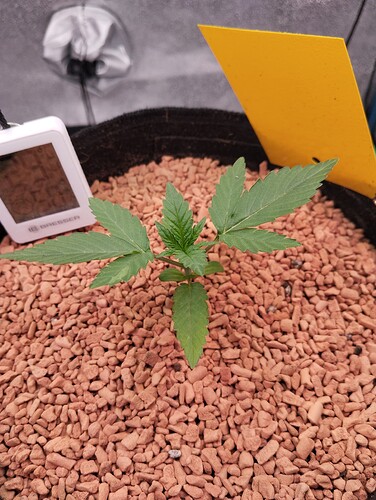 Growreport Bild 17