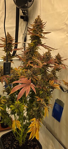 Growreport Bild 20