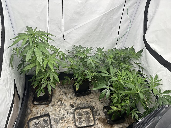Growreport Bild 8