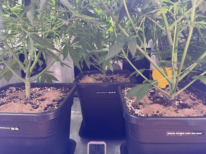 Growreport Bild 10