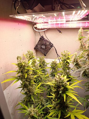 Growreport Bild 30