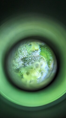 PXL_20240412_071431943