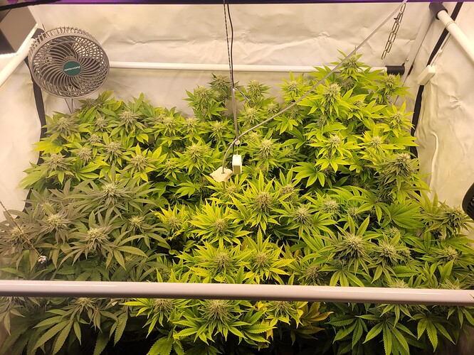 17079196718481586639359515326754