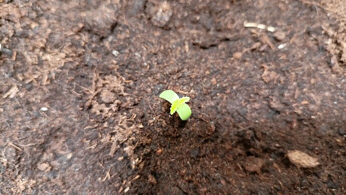 Growreport Bild 27