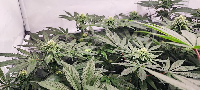 Growreport Bild 10