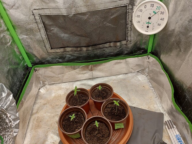 Growreport Bild 1