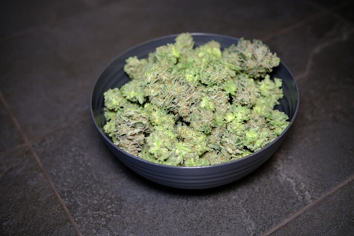 Growreport Bild 9