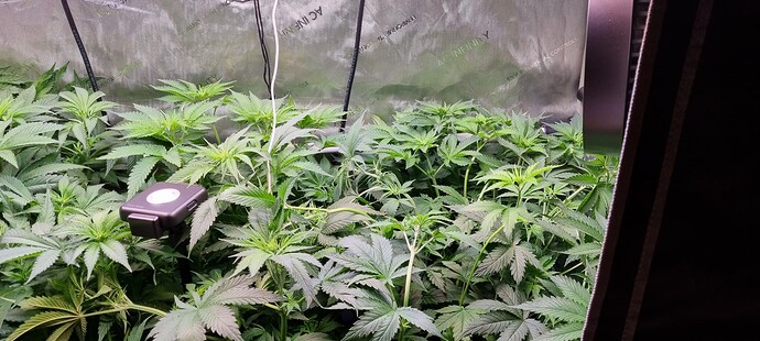 Growreport Bild 12