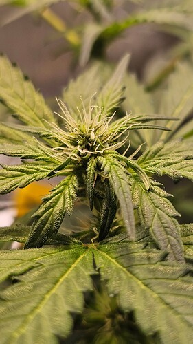Growreport Bild 11