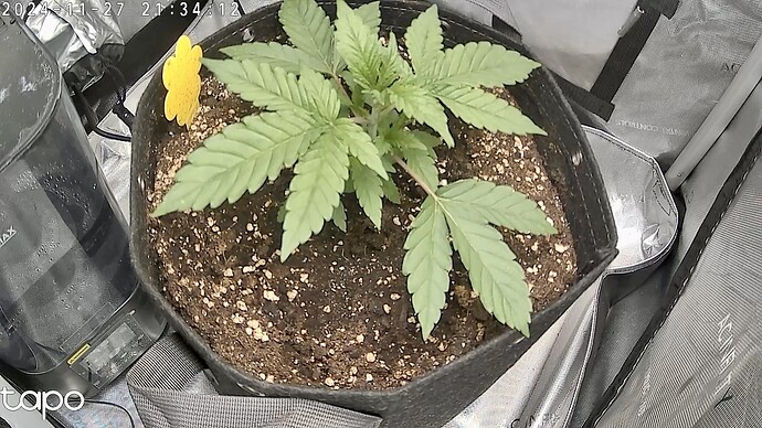 Growreport Bild 5