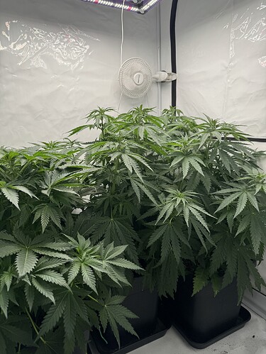 Growreport Bild 6