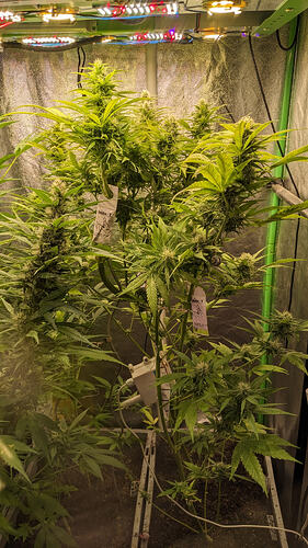 7652d1dd-3d50-4117-86bb-3c07e960cad8-1_all_15191