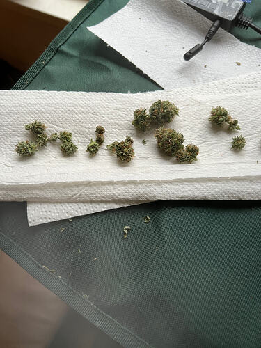 Growreport Bild 1