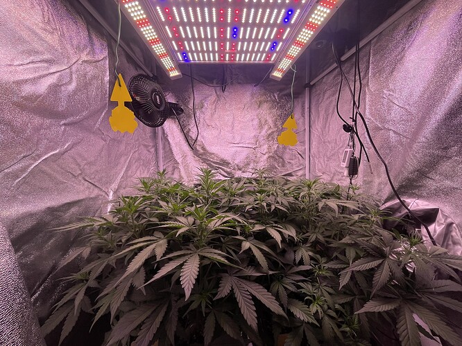 Growreport Bild 14