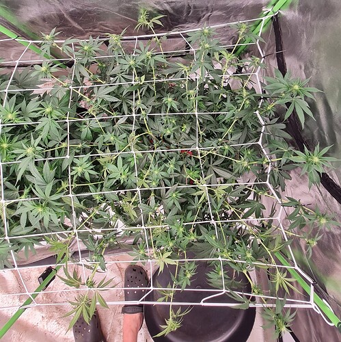 Growreport Bild 12