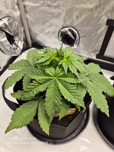 Growreport Bild 1